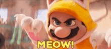 mario-meow