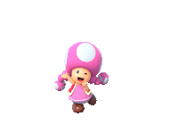 toadette-super-mario-bros-toadette