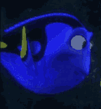 n (49)