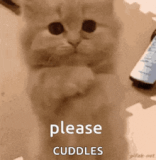 don’t-make-me-beg