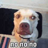 no-no-no-no (1)