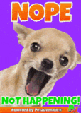 not-happening-dide-a-fur-baby-dog-mom-boop-bork-blep-boof-and-hound-do