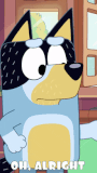bandit-bluey