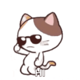 ok-dance-cat
