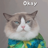 okay-puff