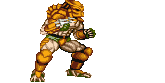 predator (12)