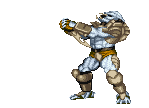predator (3)