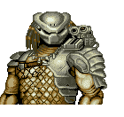predator (5)