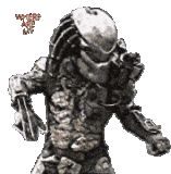 predator1 (5)