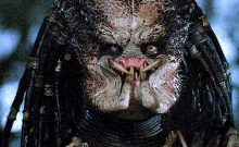 predator1 (7)