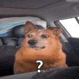 confused-huh