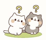 cute-cats-cutecatz