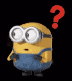 minion-any-questions-question