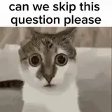 mrnoob-can-we-skip-this-question-please