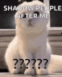 question-mark-cat
