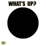 whats-up-whats-happening
