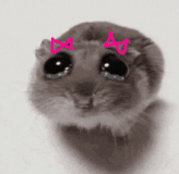 hamsterbow-sad-hamster