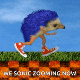 hedgehog-sonic