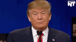 donald-trump-icegif-1