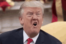 donald-trump-icegif-10