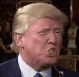 donald-trump-icegif-11