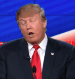 donald-trump-icegif-5