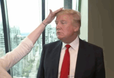 donald-trump-icegif-6