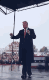 trumpwinning-trump