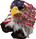 america-eagle