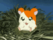 hamtaro-happy