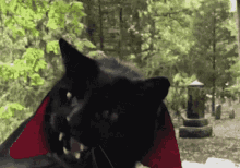 catpire