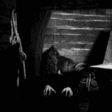 nosferatu-vampire