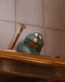 barf-ratatouille
