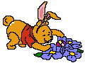 winnie (237)