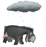winnie-(43)