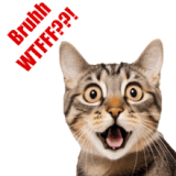wtf-face-wtf