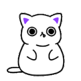cute-cat
