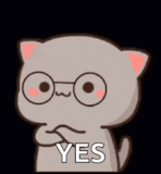 goma-cat-nod