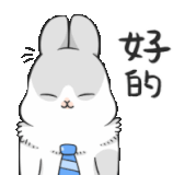 machiko-rabbit