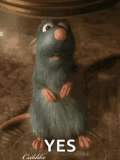 rat-i-dont-know