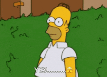 the-simpsons-homer-simpson