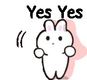 yes-bunny