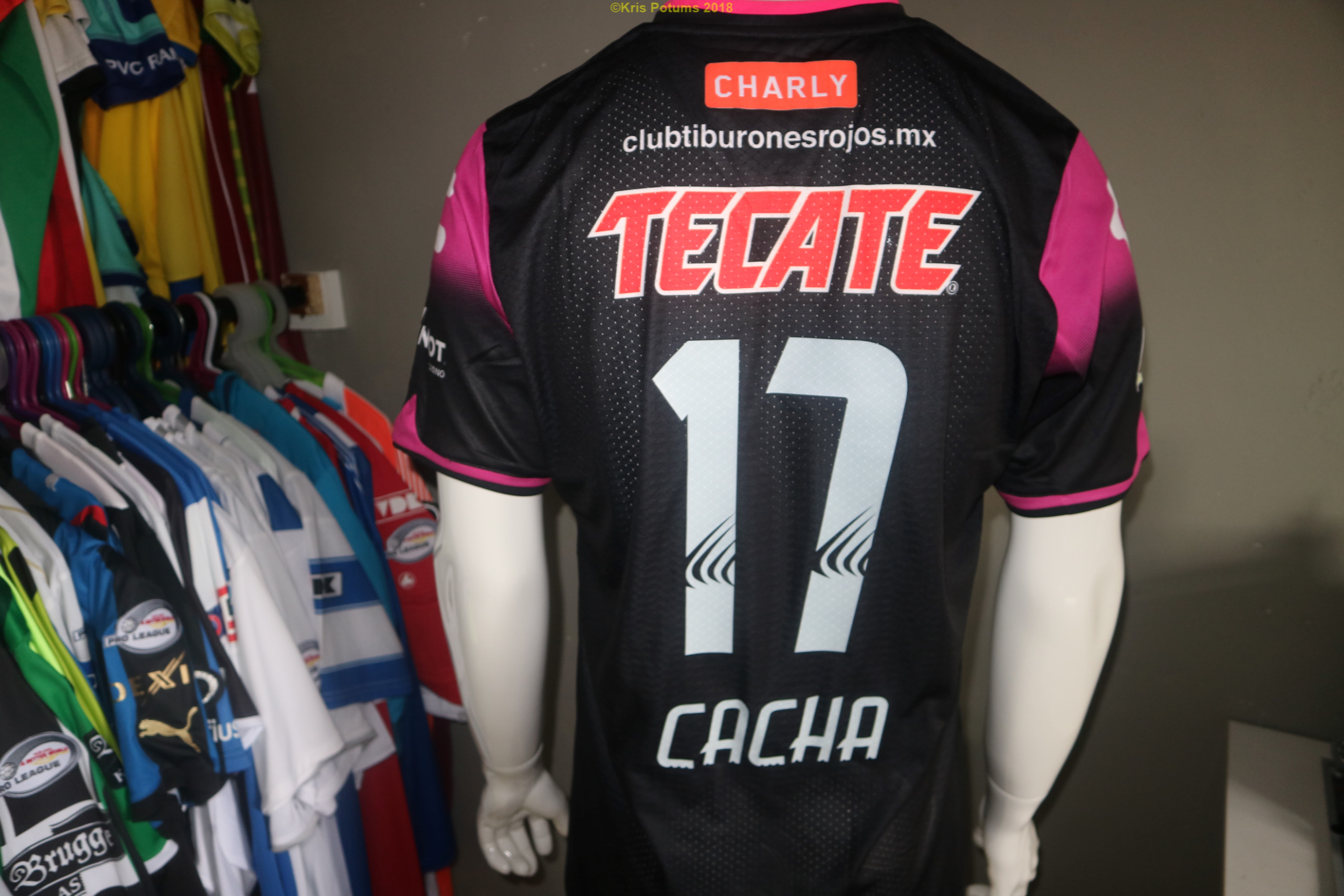 Tiburones Rojos Veracruz