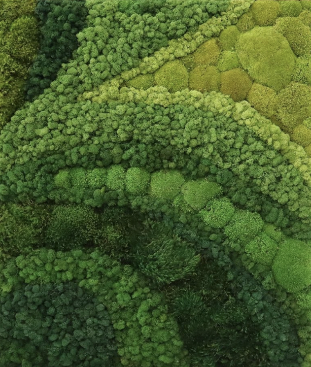 modern moss wave