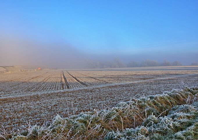 Project Farm Winter 10R