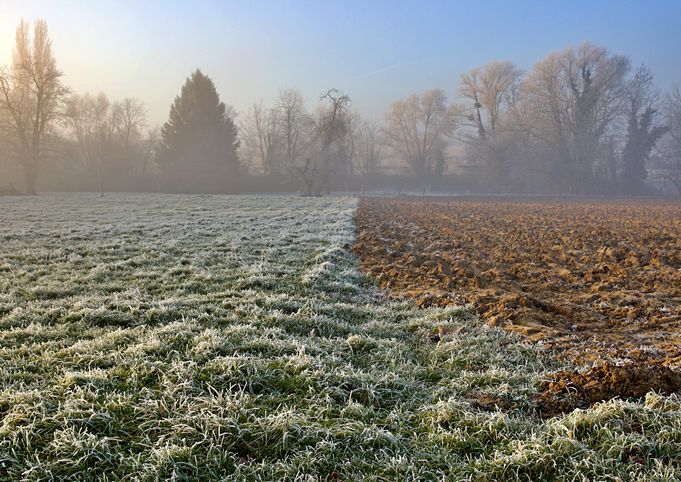 Project Farm Winter 11R