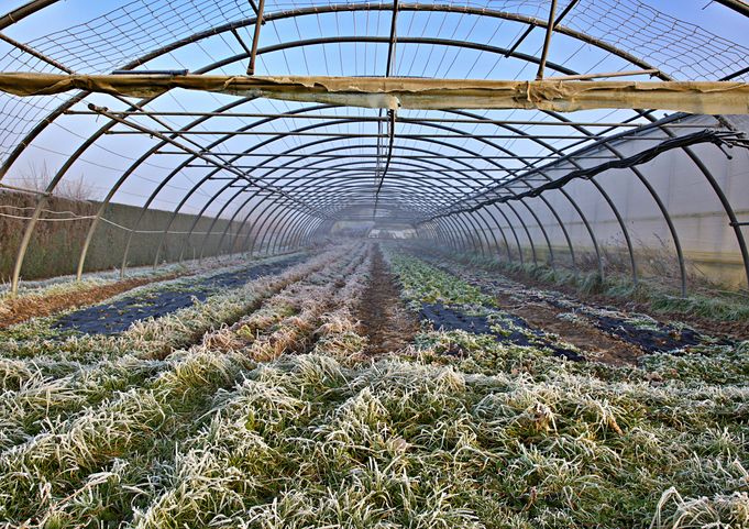 Project Farm Winter 12R