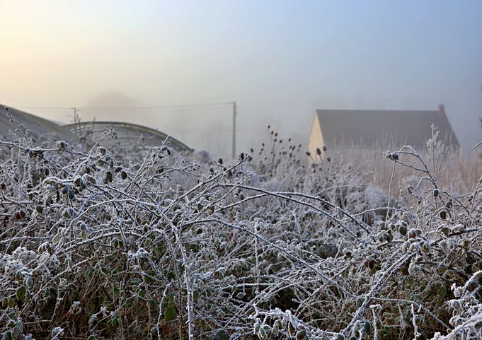 Project Farm Winter 15R