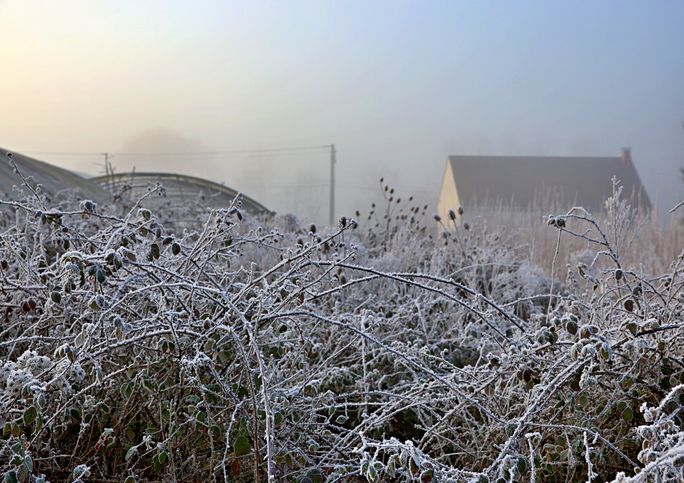 Project Farm Winter 15R