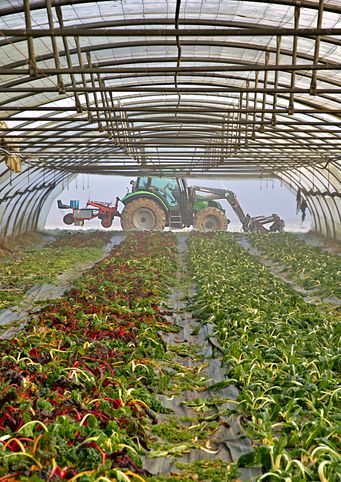 Project Farm Winter 17R